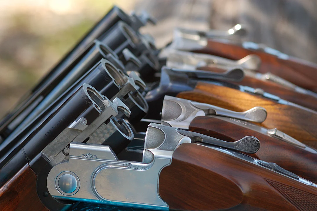 Ornate over-under shotguns are lined up outdoors on a wooden table, displaying polished wood stocks and metal barrels.